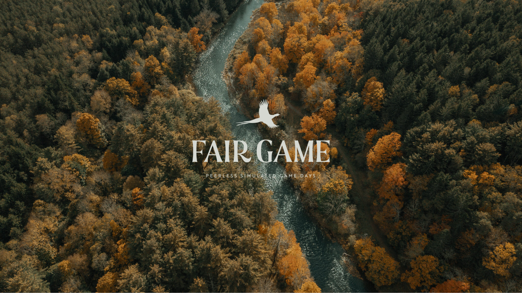 Header image for the Fair Game logo design